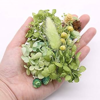 Amazon｜ガーデングリーン花材セット 手芸クラフト ハーバリウム